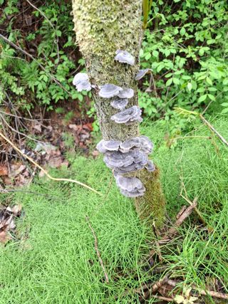 김영기님의 자유주제 · 자유게시판 작성글 사진