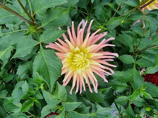 역전평리이광재님의 자유주제 · 자유게시판 작성글 사진