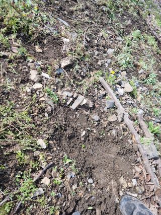 김용대님의 자유주제 · 자유게시판 작성글 사진