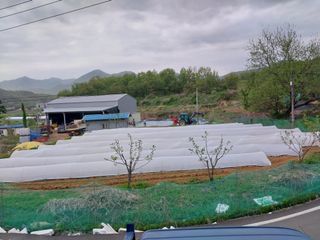 영수농원님의 자유주제 · 자유게시판 작성글 사진