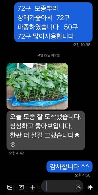 대산농사대장님의 고추 · 품종•종자 작성글 사진