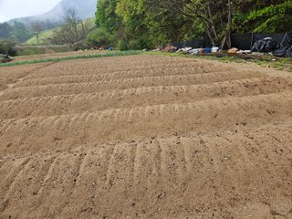 김용석님의 자유주제 · 자유게시판 작성글 사진