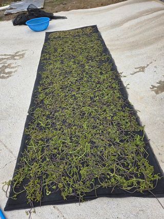 김연숙님의 자유주제 · 자유게시판 작성글 사진