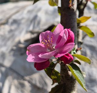 담디농원님의 자유주제 · 자유게시판 작성글 사진