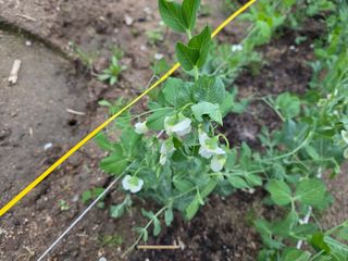 나선기님의 자유주제 · 자유게시판 작성글 사진
