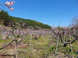 해송님의 자유주제 · 자유게시판 작성글 사진