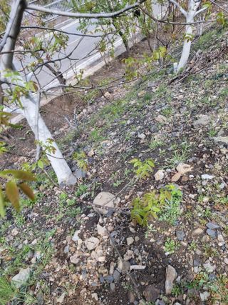 김용대님의 자유주제 · 자유게시판 작성글 사진