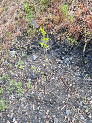 김용대님의 자유주제 · 자유게시판 작성글 사진