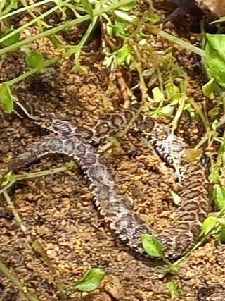 한학수님의 자유주제 · 자유게시판 작성글 사진