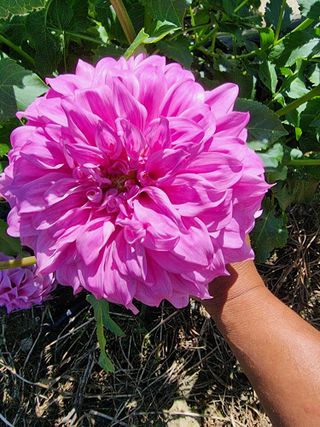 역전평리이광재님의 자유주제 · 자유게시판 작성글 사진