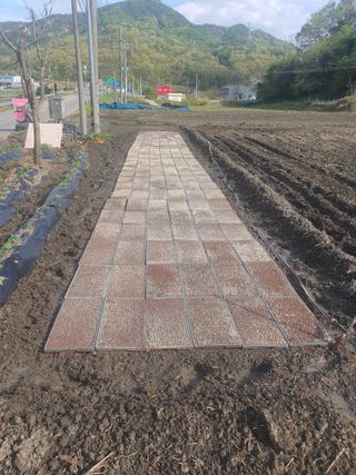 옥천서화농님의 자유주제 · 자유게시판 작성글 사진