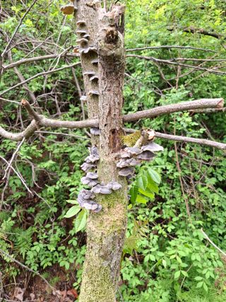 김영기님의 자유주제 · 자유게시판 작성글 사진