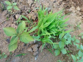 이정민님의 자유주제 · 사진전 작성글 사진