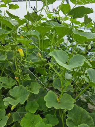 빛그린 김용화님의 자유주제 · 자유게시판 작성글 사진