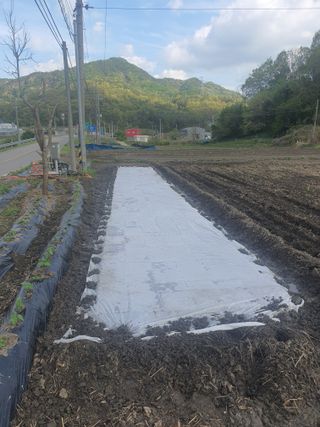옥천서화농님의 자유주제 · 자유게시판 작성글 사진