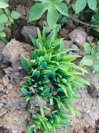 이정민님의 자유주제 · 사진전 작성글 사진