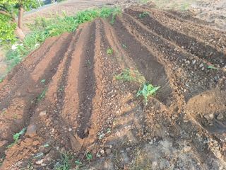 이정민님의 자유주제 · 사진전 작성글 사진