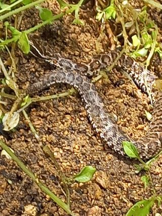 한학수님의 자유주제 · 자유게시판 작성글 사진