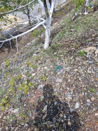 김용대님의 자유주제 · 자유게시판 작성글 사진