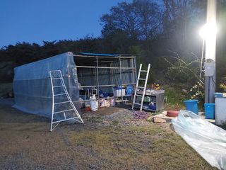 서산팔봉농원님의 자유주제 · 자유게시판 작성글 사진