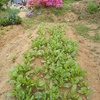 이장우님의 자유주제 · 자유게시판 작성글 사진