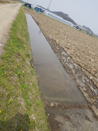 소농님의 자유주제 · 자유게시판 작성글 사진