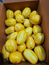 팜모닝 · 게시글 이미지