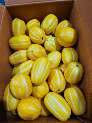 써니네님의 작성글 사진