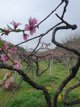 팜모닝 자유주제·자유게시판 게시글 이미지