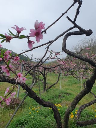 해송님의 자유주제 · 자유게시판 작성글 사진