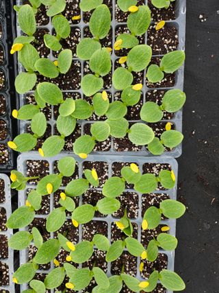 김제일주농장님의 자유주제 · 자유게시판 작성글 사진