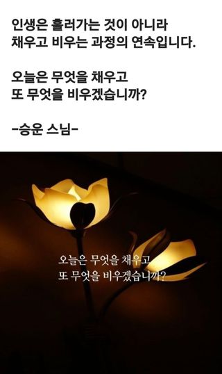 (팽나무*공주)님의 자유주제 · 자유게시판 작성글 사진