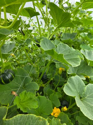 빛그린 김용화님의 자유주제 · 자유게시판 작성글 사진