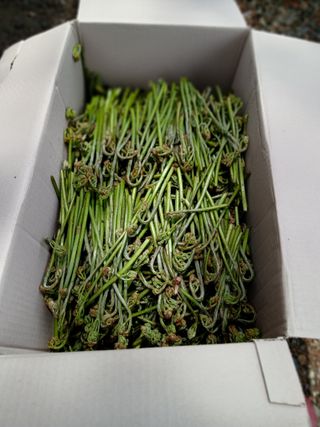 인생은 소풍처럼님의 자유주제 · 자유게시판 작성글 사진