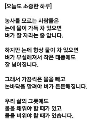 (팽나무*공주)님의 자유주제 · 자유게시판 작성글 사진