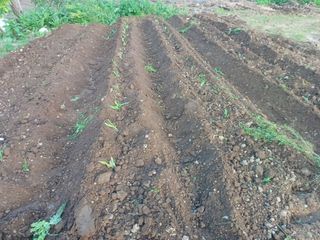 이정민님의 자유주제 · 사진전 작성글 사진