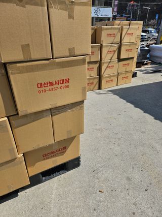 대산농사대장님의 고추 · 품종•종자 작성글 사진