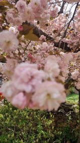 팜모닝 자유주제·사진전 게시글 이미지