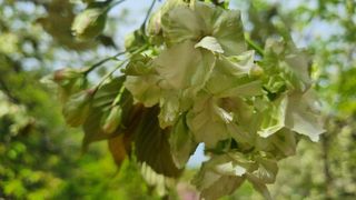 이병성님의 자유주제 · 사진전 작성글 사진