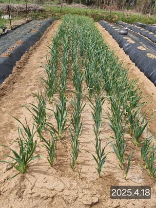 정석범님의 자유주제 · 자유게시판 작성글 사진