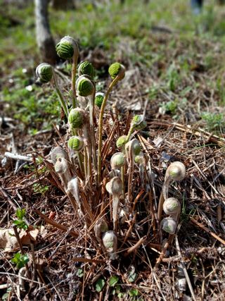 인생은 소풍처럼님의 자유주제 · 자유게시판 작성글 사진