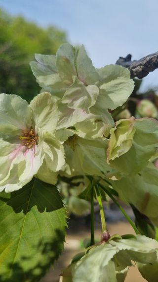 이병성님의 자유주제 · 사진전 작성글 사진