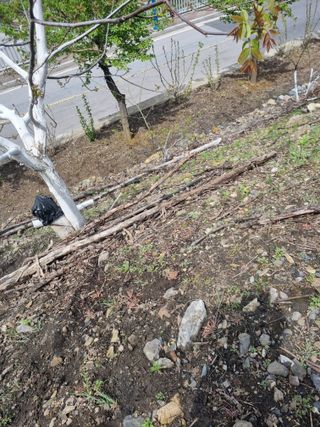 김용대님의 자유주제 · 자유게시판 작성글 사진