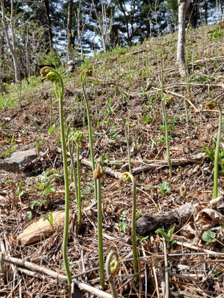 인생은 소풍처럼님의 자유주제 · 자유게시판 작성글 사진
