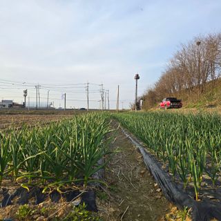 박왕현님의 🌱내 작물 자랑하기! · 참여글 작성글 사진