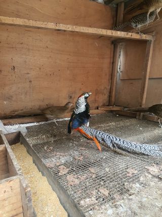 김영복님의 자유주제 · 자유게시판 작성글 사진