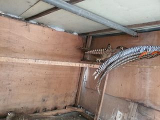 김영복님의 자유주제 · 자유게시판 작성글 사진