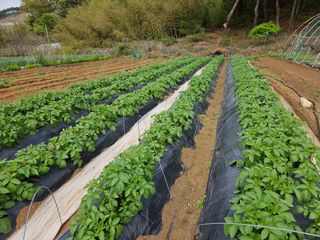 김명식님의 자유주제 · 자유게시판 작성글 사진
