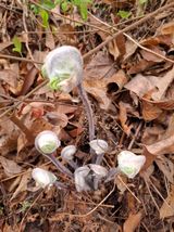 팜모닝 자유주제·자유게시판 게시글 이미지