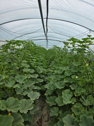 빛그린 김용화님의 자유주제 · 자유게시판 작성글 사진